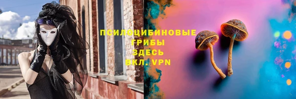 дживик Кинешма