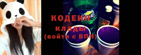 дживик Киренск