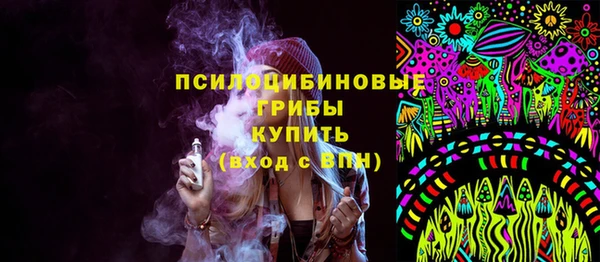 дживик Кинешма