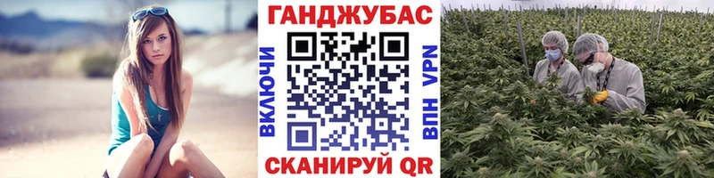 Купить  Заинск  Каннабис планчик 